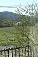 04-02-IMG_8826s_ablakbol