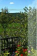 10-09-IMG_0894_sablakbol_cr