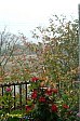 10-22-IMG_1048_ablakbol_s