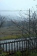 11-06-IMG_5877_ablakbol