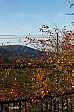 11-07-IMG_1136s_ablakbol_cr