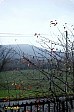 11-12-IMG_1171s_ablakbol_cr