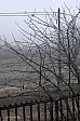 11-30-IMG_6845_ablakbol