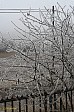 11-31-IMG_6885_pr50_ablakbol