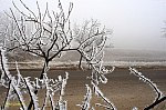 10-IMG_6863w-