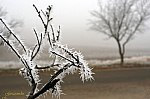 25-IMG_6854w_deres-