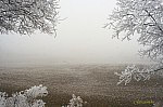 IMG_6869w-
