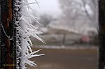 IMG_6882w-