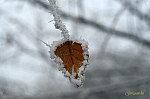 IMG_6890w_jeglevel-