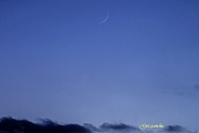 DSC08327s-holdsarlo