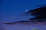 DSC08333s