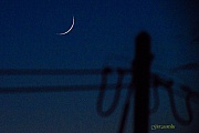 DSC08335d