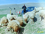 09_RDSC01158web.jpg