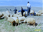 09_RDSC01159web.jpg