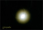 31-napf060329_40bs