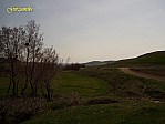 38-P3290129