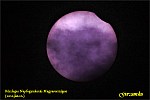 DSC07241s