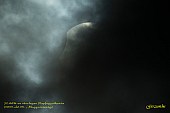 12-17-DSC09498nfs