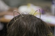 04-58-IMG_4323_cicaful