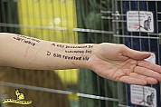 09-25-IMG_1938