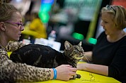 10-24-aDSC03966_diesel