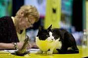 10-26-IMG_3332_1_jerry