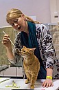 10-27-DSC05078s_garfield