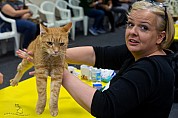 10-42-aDSC03934_holmes