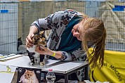 10-47-DSC05091s_maja