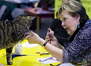 10-73-IMG_2855_tigris