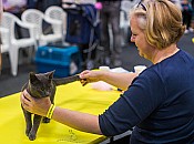 11-DSC03777_fusti