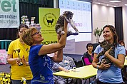 18-aDSC03851_tokmag-bukfenc