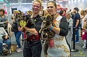 19-25-DSC03870_diesel-cleop