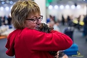 40-20-DSC03765_tokmag