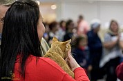 40-20-IMG_4447_holmes