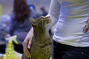 40-71-IMG_2850_izisz