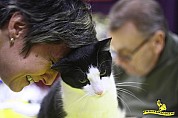 40-72-sIMG_2798_jerry