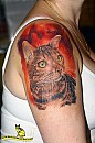 60-43-IMG_1928_tetko