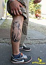 60-z_9031_tetko