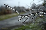 02-IMG_6738s_jegv