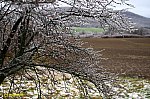 04-IMG_6737s_jegv