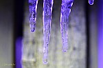 08-IMG_6740s_jegv