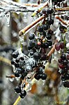 09-IMG_6751s_jegv
