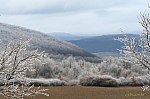 11-IMG_6745s_jegv