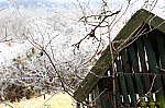 12-IMG_6749s_jegv