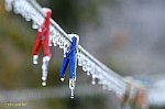 18-IMG_6735s_jegv