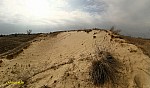02-IMG_3329_cr