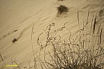 03-IMG_3330