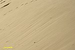 04-IMG_3332_crs