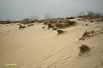 05-IMG_3333